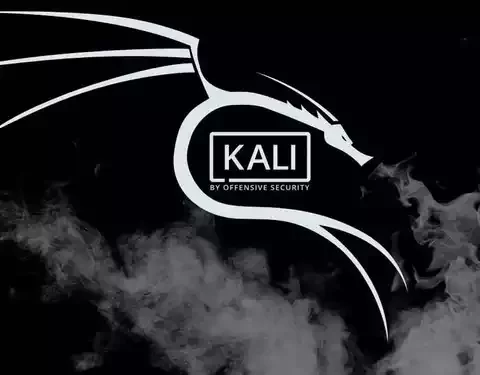 kali linux