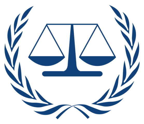 DIH y Convención de la Haya