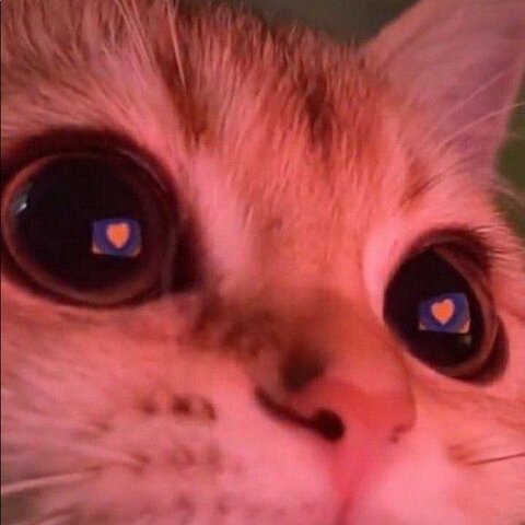 Married to Alexandra