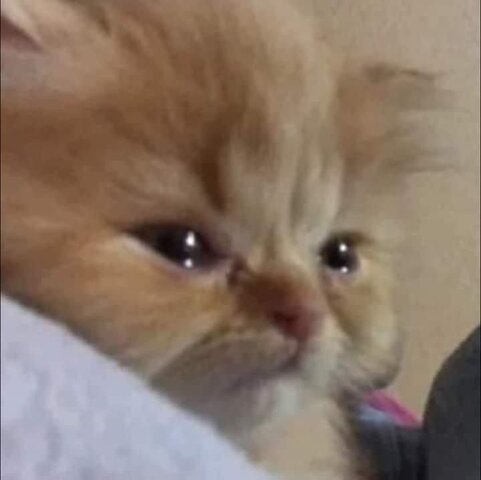 Assassination of Tsar Nicholas II