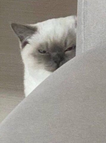 Manifesto of October 30