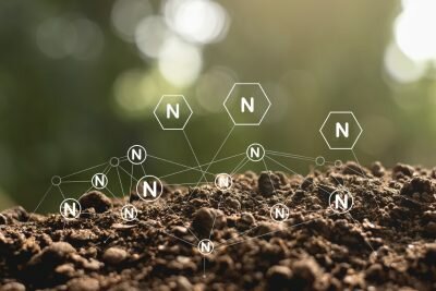 Reconocimiento del nitrógeno como gas elemental