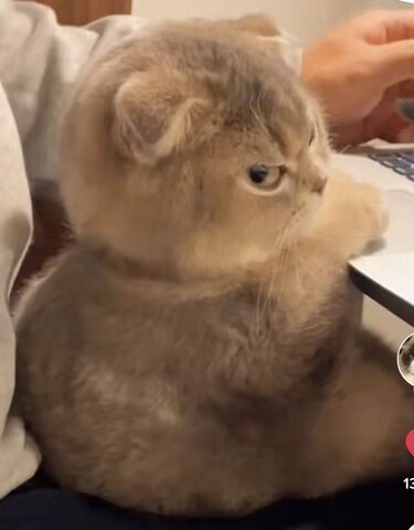 Stolypin's Coup Of 1907