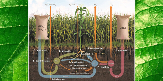 Nitrógeno en la agricultura