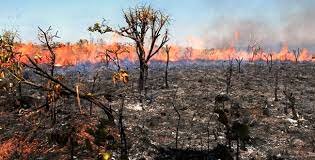 Reformas al Código Penal Federal