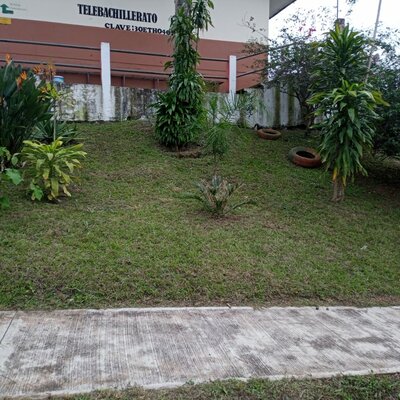 Timeline: TEBAEV EL CHICO