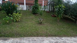 Timeline: TEBAEV EL CHICO