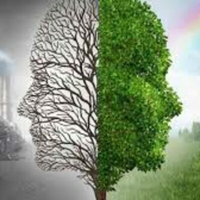 Timeline: Contaminación admosférica