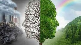 Timeline: Contaminación admosférica