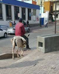 Abdicación de Carlos l