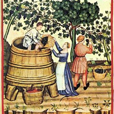 Timeline: Historia del vino