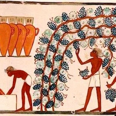 Timeline: Historia del vino