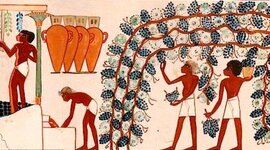 Timeline: Historia del vino