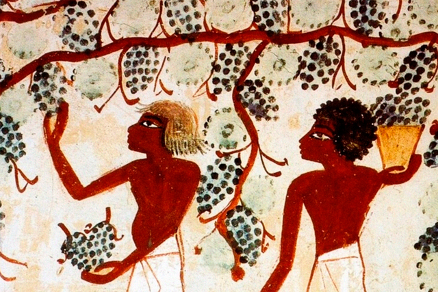 Origen del vino en Egipto