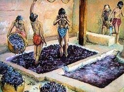 El vino en el Imperio Romano