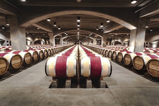 El vino en la actualidad