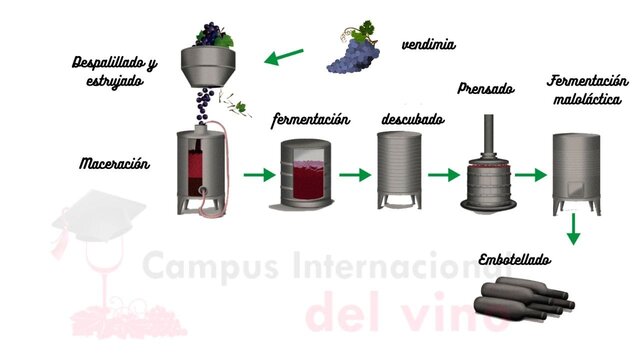 Proceso de creacion del vino en la Actualidad