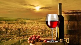Timeline: Historia de vino
