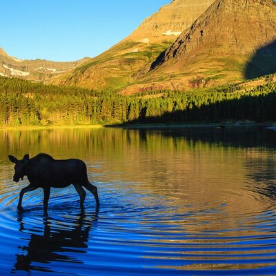 Timeline: Timeline of Montana History