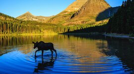 Timeline: Timeline of Montana History