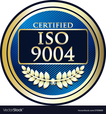 *ISO 9004*