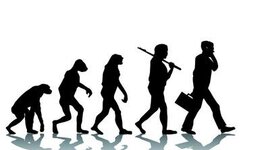 Timeline: Evolución de la Calidad