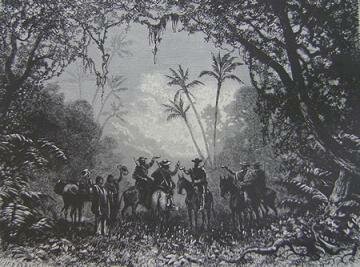 La Manizales emergente