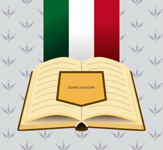 Reforma de la Ley Federal de Procedimiento Administrativo