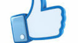 Timeline: Social Media Timeline