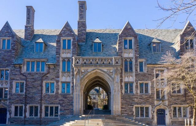 Fitzgerald attends an University