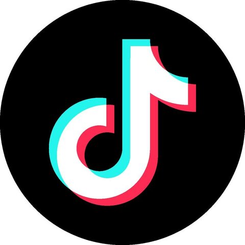 TikTok is the most downloaded app