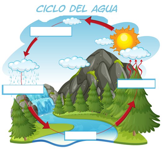 Ciclos del Agua