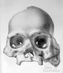 The Calaveras Skull is discovered in California