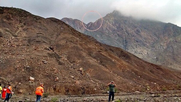 Nuevos habitantes de la comunidad