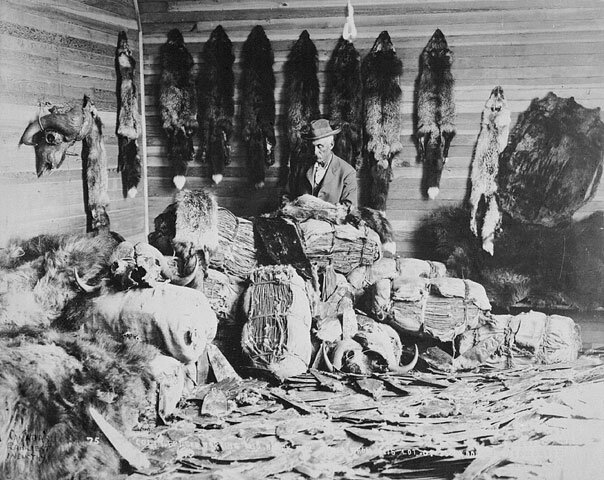 First Fur Post Established In Montana