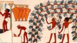 Timeline: HISTORIA DEL VINO