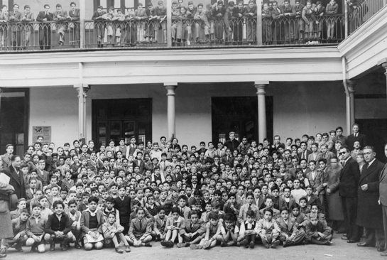 Paradigma naturalista