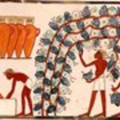 Timeline: HISTORIA DEL VINO