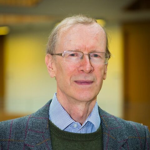 andrew wiles