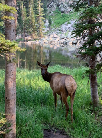 Vacacione en Estes Park, Colorado
