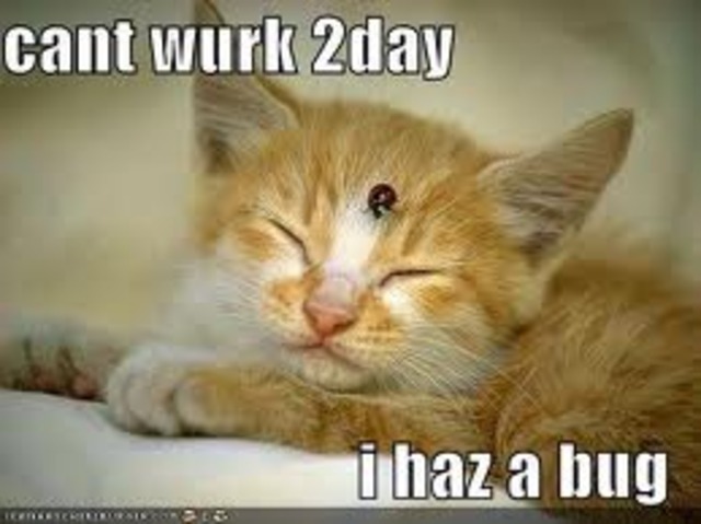 i was gone through the years 50 times