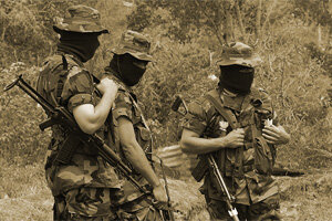 Violencia de grupos armados contra la organización