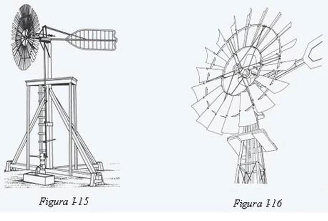 Multipala amerikar txikia
