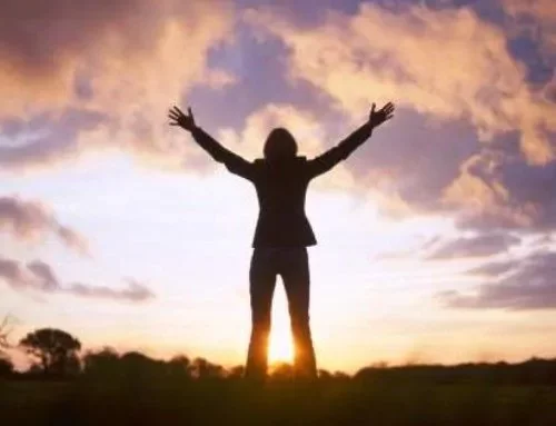 El ser humano, un ser libre