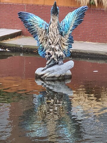 IJsvogels in Almelo