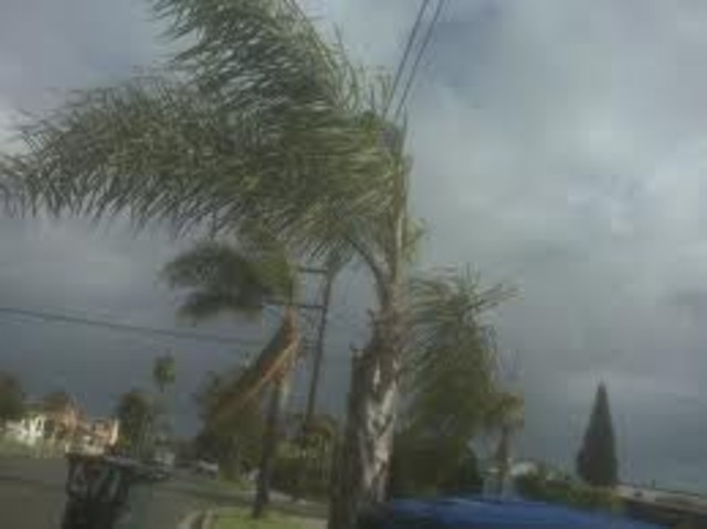 Tropic storm Francis