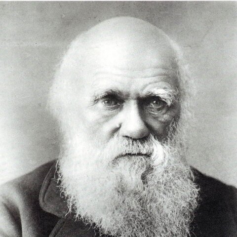 Charles Darwin (1859)