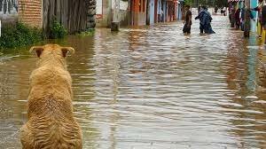 Advertencia de Vulnerabilidad Geológica