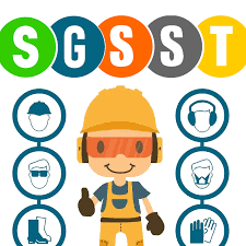 Resolución 0312 de 2019