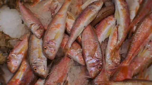 La incorporació de la carn i el peix